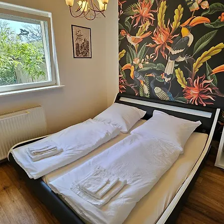 Haus Erdgeschoss Mit Garten